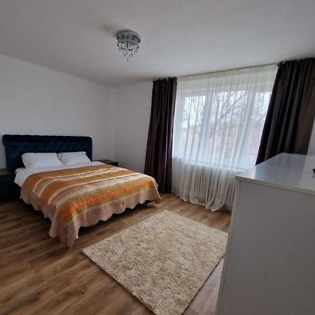 Prefecture Apartments ティミショアラ エクステリア 写真